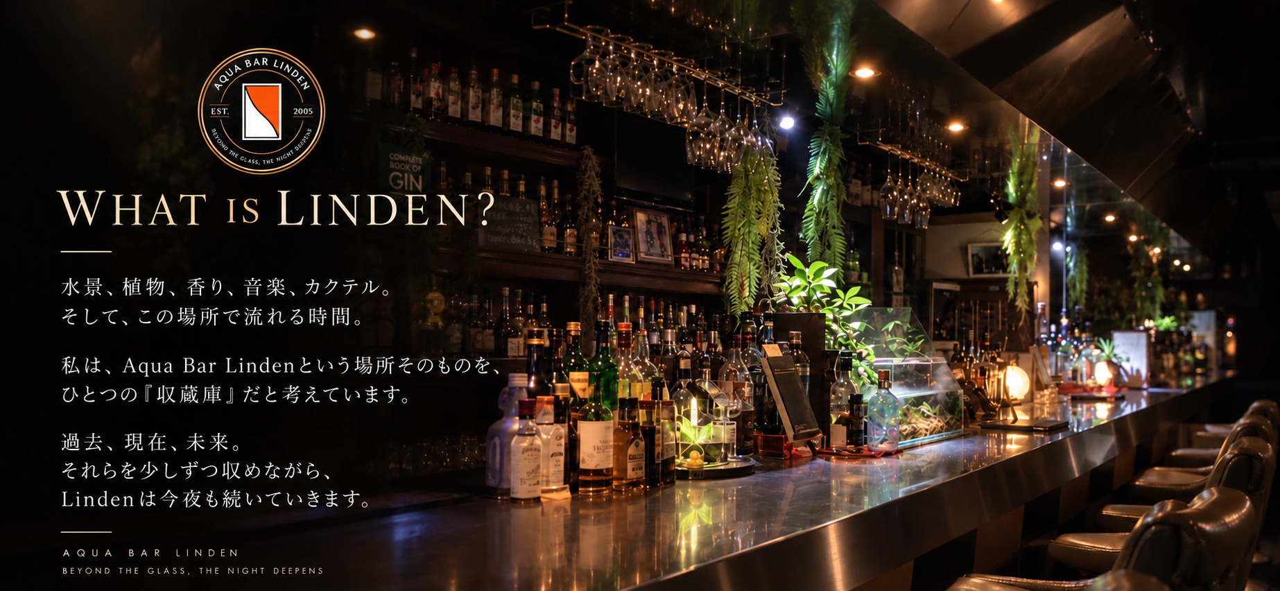 夜のための、ほんの少しの装いを。の代表ビジュアル